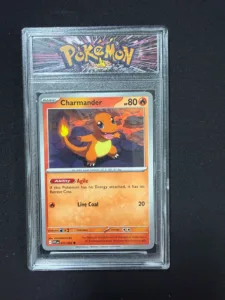 Pokemon Charmander Card in Protective Display Case