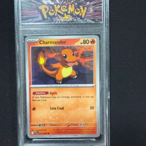 Pokemon Charmander Card in Protective Display Case