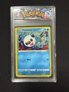 Pokemon Oshawott Holo Promo Card in Protective Display Case