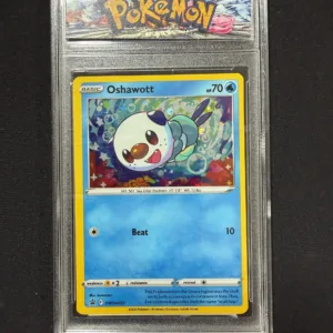Pokemon Oshawott Holo Promo Card in Protective Display Case