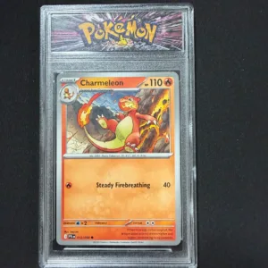 Pokemon Charmeleon Card in Protective Display Case