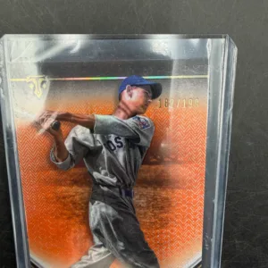 Ted Williams Limited Numbered Baseball Card 182/199