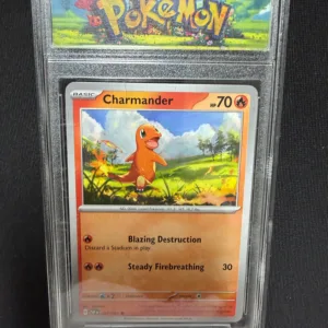 Pokemon Charmander Card in Display Holder
